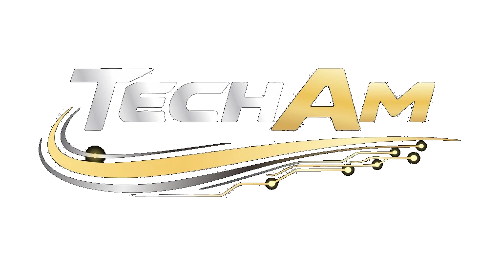 TechAM LLC